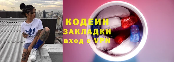 индика Богородск
