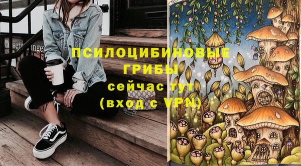 индика Богородск