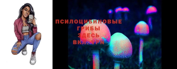 синтетический гашиш Богданович