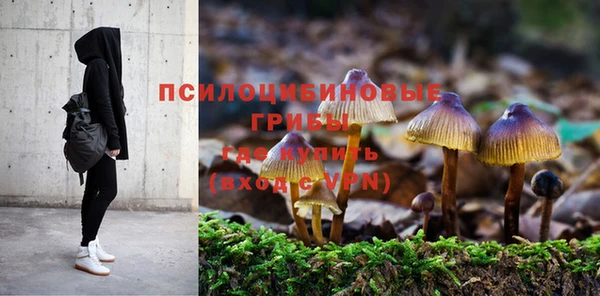 кристаллы Богородицк