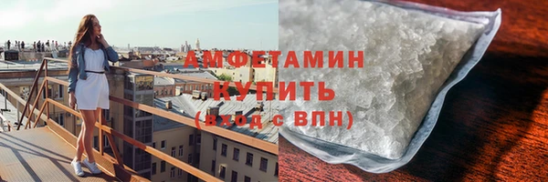 индика Богородск